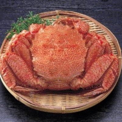 ふるさと納税 根室市 毛蟹600g×3尾 D-66013 |  | 02