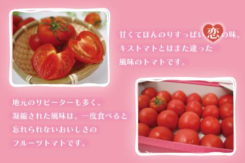 【先行予約】【2026年11月より順次発送】JA フルーツトマト恋のつぼみプレミアム約1kg(化粧箱)｜トマト フルーツトマト プレミアム 化粧箱 贈り物 ギフト 恋のつぼみ 野菜 茨城県 行方市(AE-7)