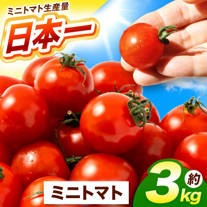 【ふるさと納税】 熊本県産 ミニトマト 約3kg | 野菜 やさい トマト とまと ミニトマト プチトマト | 熊本県 玉名市