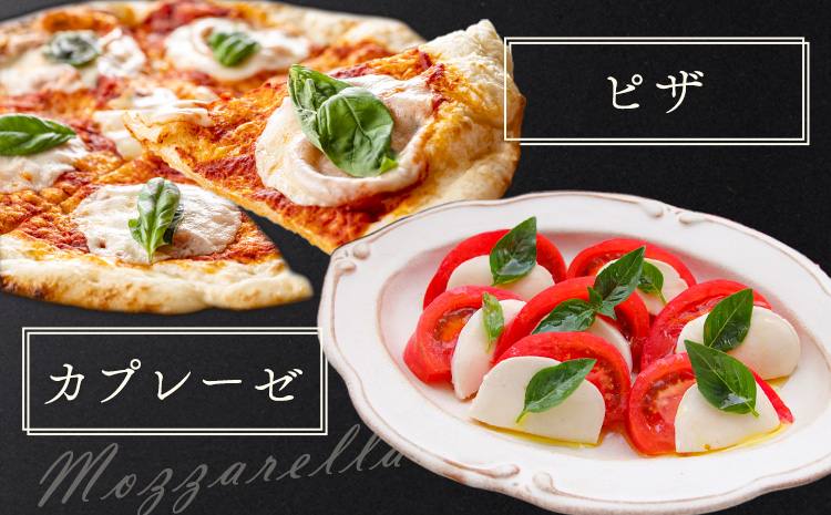 モッツァレラチーズ ミル爆 10個 チーズ モザレラ 株式会社フォルナ・ヴェスタ《90日以内に出荷予定(土日祝除く)》フレッシュ カプレーゼ おつまみ 前菜 手作り 国産 熊本県 菊池市 送料無料--