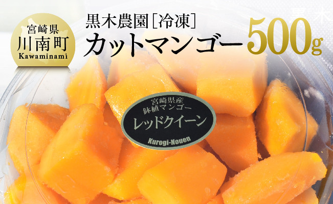 
            宮崎県産マンゴー　黒木農園の冷凍カットマンゴー（種なし）500g 【 レッドクイーン マンゴー 果物 フルーツ スイーツ 】
          