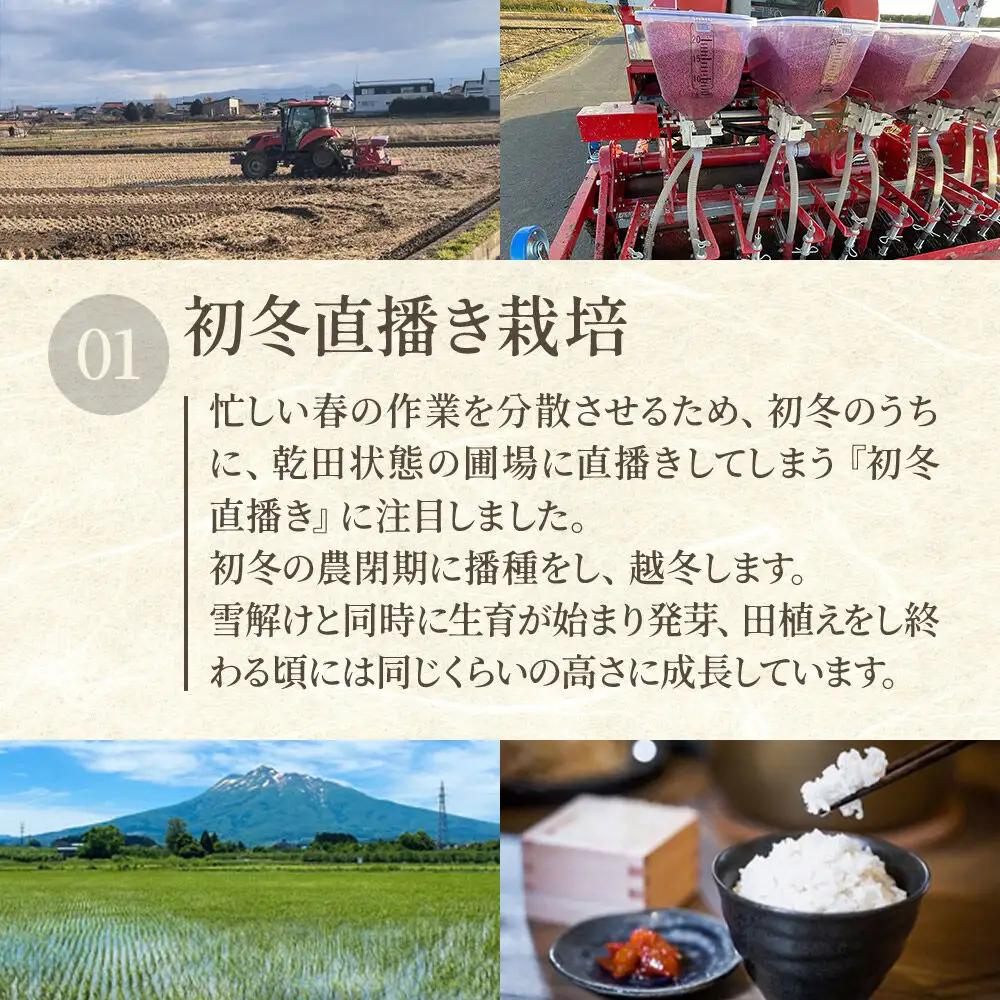 米 青天の霹靂 玄米 15kg（5kg×3袋）令和7年産 青森県弘前市産