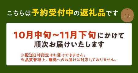 【2026年10月以降お届け】甘うぃ3kg箱_甘い キウイ 甘うぃ キウイフルーツ 3kg 国産 甘みの強い 果実 黄色味 福岡 オリジナル品種 濃厚 まろやか 高糖度 フルーツ 果物 ヨーグルト ス