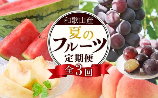 
定期便全3回　和歌山の人気の夏のフルーツをお届け！
