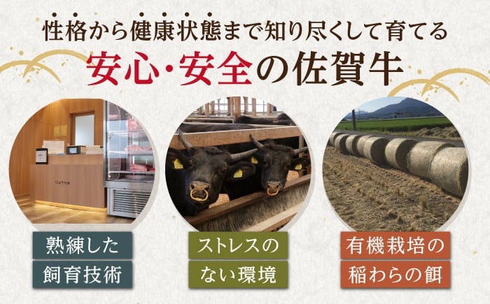 佐賀牛 ヒレ 塊肉 500g [HAD107] A5 希少部位 ヒレ フィレ 牛肉 肉 佐賀牛 ブランド牛 国産牛 数量限定