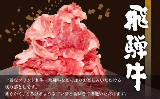 飛騨牛 切り落とし 600g 牛肉 和牛 肉 お肉 切落し 不揃い にく 切り落し 東白川村 ブランド牛 国産 人気 おすすめ 薄切り きりおとし 岐阜 すき焼き お取り寄せ 冷凍