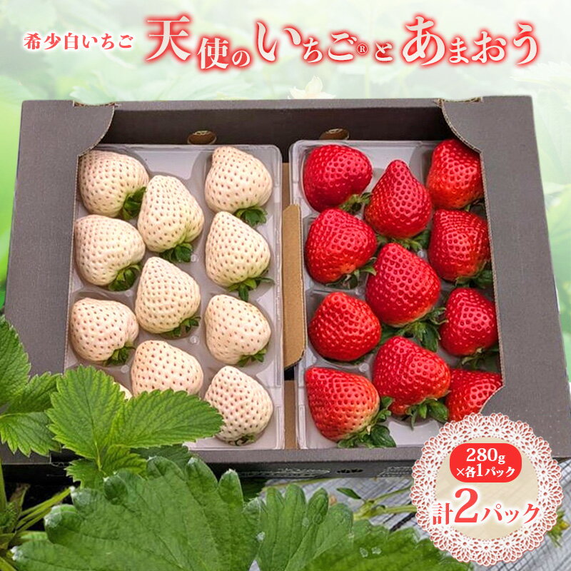 【ふるさと納税】いちご 『先行予約』【2026年1月上旬以降お届け】 天使のいちご 大粒白いちご 280g×1p 厳選あまおうDX 280g×1p 計2パック 560g フルーツ いちご 果物 デザート ※配送不可：沖縄、離島　お届け：2026年1月上旬～4月下旬まで