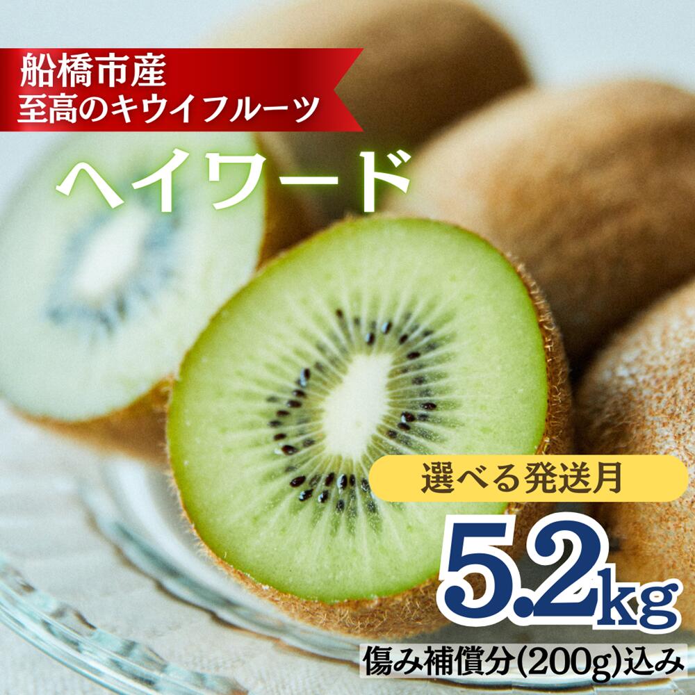 【ふるさと納税】キウイ キウイフルーツ ヘイワード 5.2kg 未追熟 国産 船橋産 果物 フルーツ 選べる発送月11月 12月 1月 2月 季節限定 期間限定 まるり【傷み補償分込】