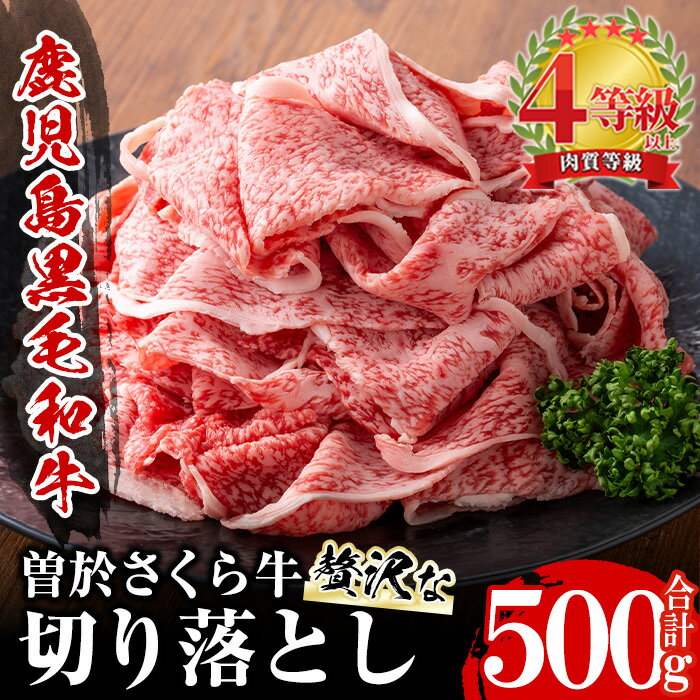 【ふるさと納税】曽於さくら牛 贅沢な切り落とし(合計500g) 鹿児島県産 国産 黒毛和牛 和牛 牛肉 牛 肉 モモ肉 ロース ロース肉 肩肉 切り落とし 冷凍 すき焼き しゃぶしゃぶ【福永産業】