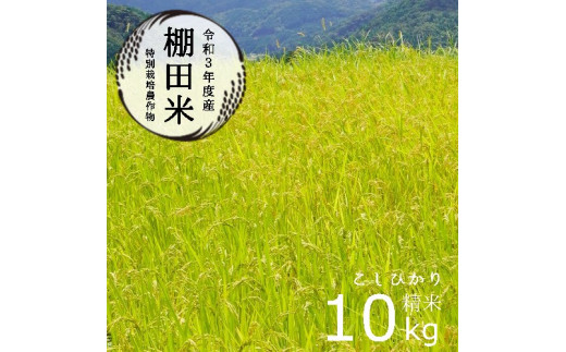 
栽培期間中農薬不使用 コシヒカリ 10kg 棚田米 白米 お米 おにぎり お弁当 ブランド米 京都 舞鶴
