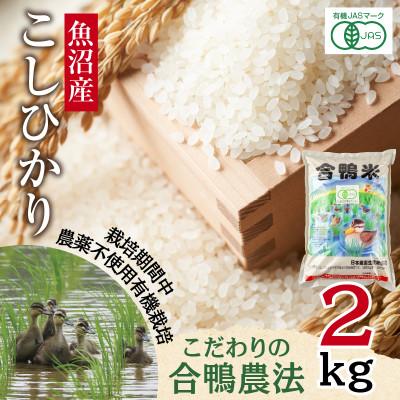 ふるさと納税 十日町市 魚沼産 コシヒカリ 2kg 栽培期間中農薬不使用 あいがも農法 有機栽培米 新潟県十日町市