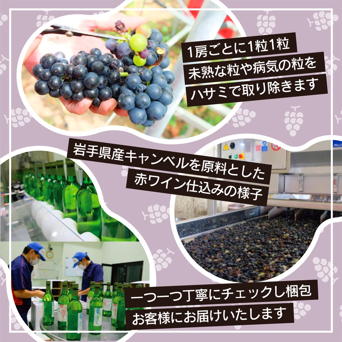 たっぷり飲めるマグナムサイズ赤・白6本セット 【2251】