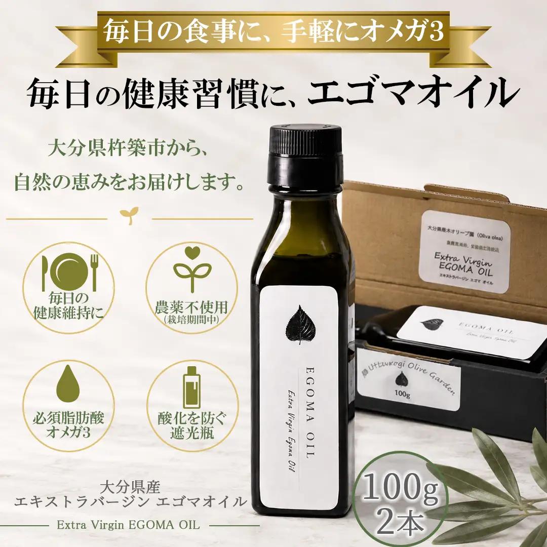 エゴマオイル(EGOMA OIL) 100g×2本セット 無農薬栽培 低温直圧搾油法 大分県産＜143-006_5＞