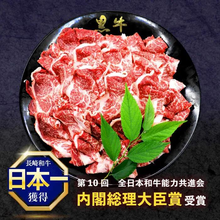 【6回定期便】長崎和牛切り落とし(バラ・モモMIX)約1000g[OCE090]