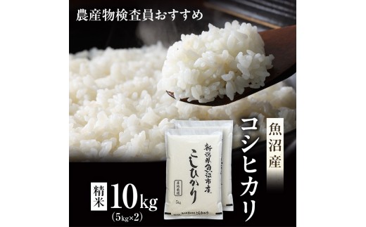 
                  【令和8年産 先行予約】 農産物検査員お奨め 魚沼産こしひかり（精米）10kg（5kg×2） お米 コシヒカリ
                