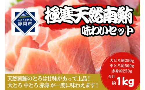 冷凍 鮪 極寒 天然 南鮪 味わいセット（大とろ・中とろ・赤身）静岡市 天然 まぐろ トロ マグロ 厳選 海生水産 海の幸