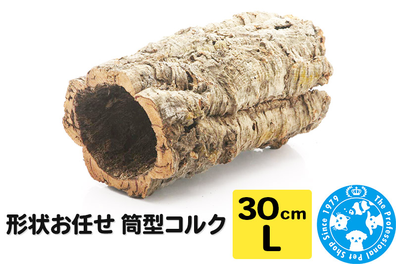 形状お任せ 筒型コルク Lサイズ 長さ30cm エアプランツ 着生植物 [株式会社チャーム charm コルク樹皮 バックパネル ビバリウム 養生植物]