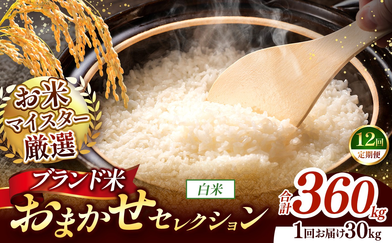 
                  【 令和7年産 】おまかせ セレクション 【定期便12回】熊本県産 白米  ＜ひのひかり / 森のくまさん / くまさんの輝き ＞ 30kg  | 単一銘柄 米 単一米 お米 こめ 小分け 人気 コメ お米 5kg 10kg 15kg 20kg 25kg 30kg 定期便 3回 6回 12回 ブランド米 菊池川流域 家庭用 送料無料 熊本 くまもと 熊本県 和水 和水町 人気 ごはん
                