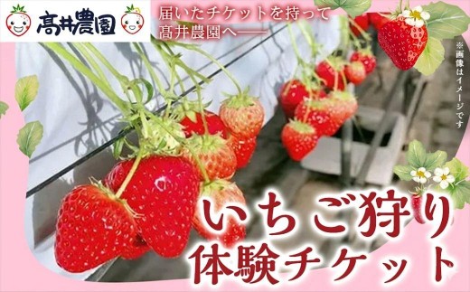 
                  【家族で楽しむ】いちご狩り体験チケット いちご いちご狩り チケット 果物 フルーツ 大粒 濃厚 食べ放題 食べ比べ  兵庫県 福崎町
                