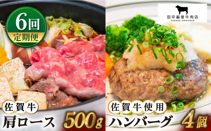 【全6回定期便】佐賀牛 スライス・ハンバーグ セット（肩ローススライス500g・ハンバーグ4個）【田中畜産牛肉店】 [HBH094]