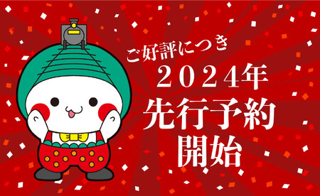 【先行予約】スカイベリー（贈答向け）【12月発送】280ｇ×2ｐ 真岡市 栃木県 送料無料