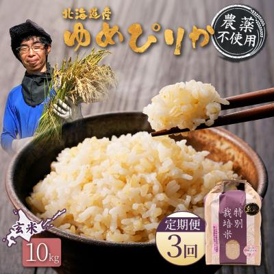 ふるさと納税 羽幌町 【定期便:3回】特別栽培米 ゆめぴりか玄米10kg(栽培期間中無化学肥料・農薬不使用)【25141】