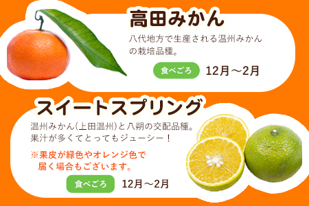 【先行予約】柑橘詰め合わせセット 5種・10kg 柑橘