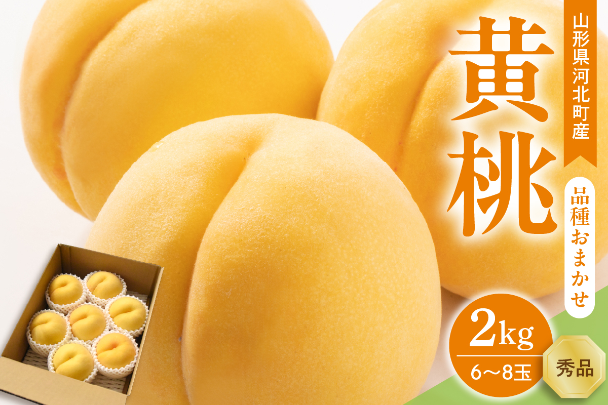 【令和8年産】黄桃 品種おまかせ 2kg (6～8玉前後) ギフト箱入 秀品 山形県河北町産 【山形eLab】 ka074-027-r8