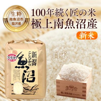 ふるさと納税 南魚沼市 【8年産新米予約】南魚沼産コシヒカリ(塩沢産)精米10kg