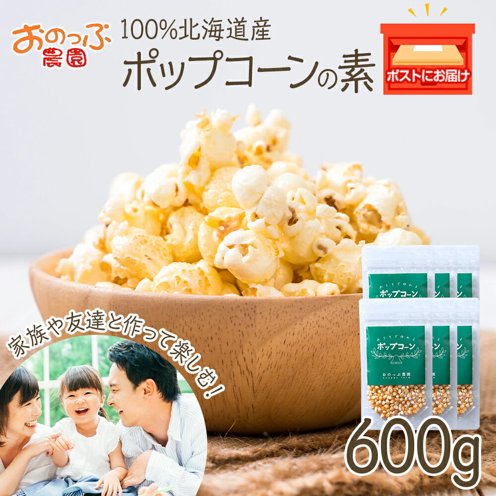 【ふるさと納税】おうちで作れる ポップコーン100g×6パック 《おのっぷ農園》 ふるさと納税 北海道