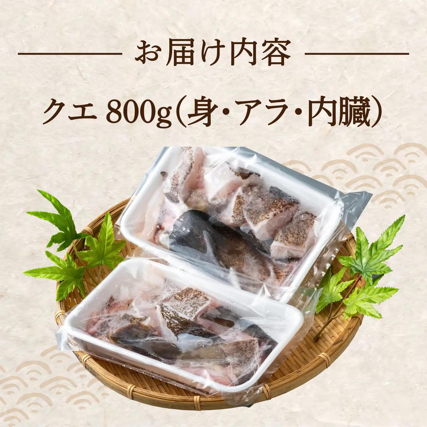 幻の魚 クエ鍋セット 800g [WAD013] くえ クエ
