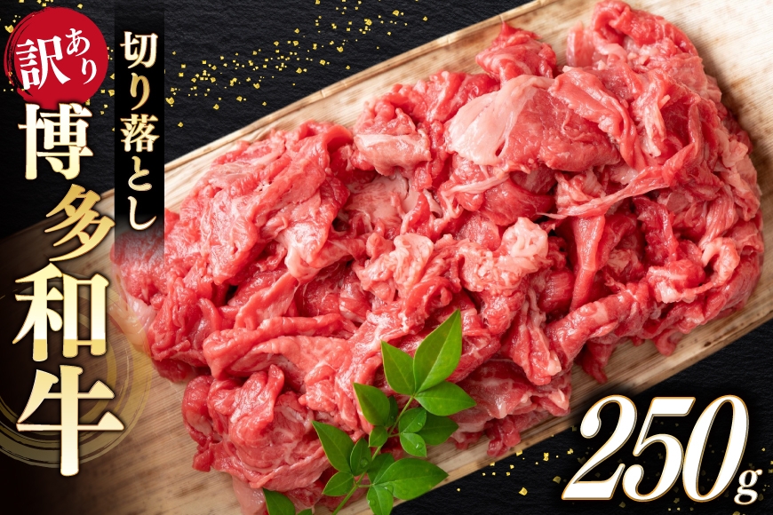 
            牛肉 訳あり A4 A5 博多和牛 切り落とし 250g [木村食品 福岡県 筑紫野市 21761362] 訳アリ 牛 肉 牛バラ 肩肉 バラ肉
          