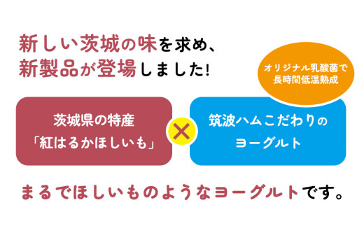 筑波ハム 『 まるでほしいも 』合計6個 ほしいもクン特製 化粧箱入り （100g×3個入り ×2箱） ( 茨城県共通返礼品 ) ヨーグルト 干し芋 干しいも ほし芋 紅はるか デザート お土産 手土