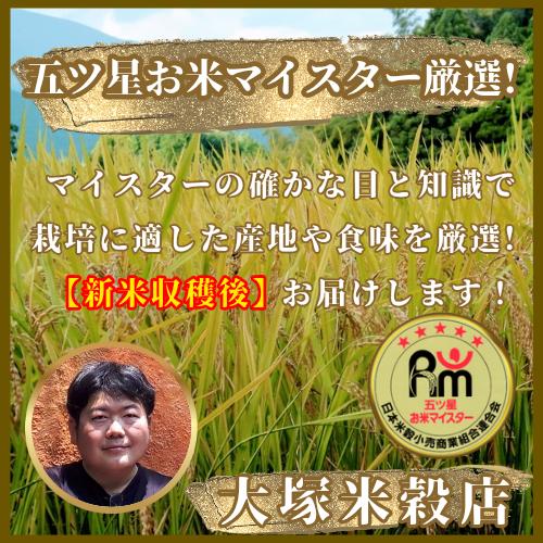 CIB84_令和７年産【（新米）11月以降発送】さがびより白米３ｋｇ【五つ星お米マイスター厳選！】