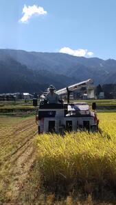 【令和7年新米】魚沼産しおざわコシヒカリ白米２０ｋｇ