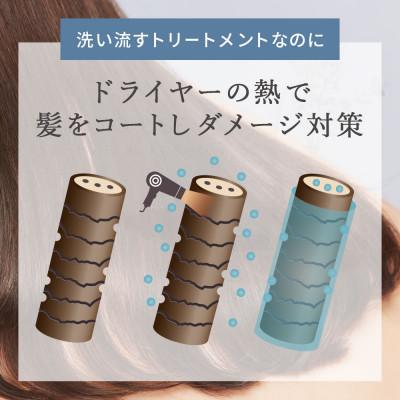 ふるさと納税 入間市 【3本セット】ドライヤーの熱でダメージ補修　モイスチャートリートメント[LULUNA]ルルーナ |  | 01