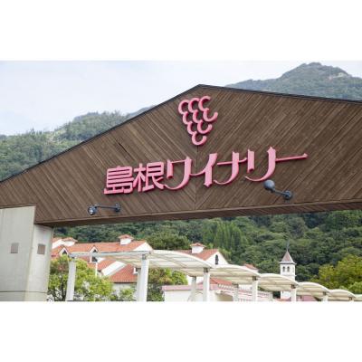 ふるさと納税 出雲市 オレンジワイン2種セット |  | 01