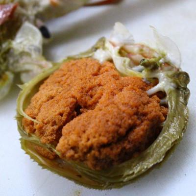 ふるさと納税 森町 【訳あり】浜茹でオオズワイガニメス(外子付き) 2kg詰め込みセット 北海道噴火湾産 |  | 01