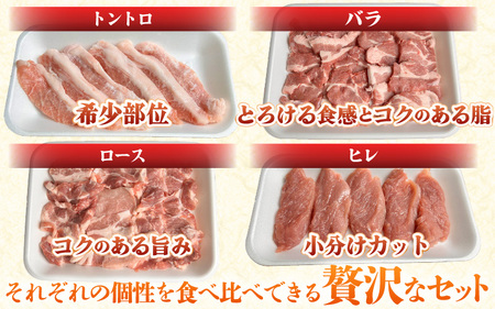【ブランド豚】ふくいポーク 焼肉セット 4種食べ比べ 計800g（希少部位 トントロ・ロース・バラ・ヒレ20gカット）【肉 国産 豚肉】 [e03-a055]