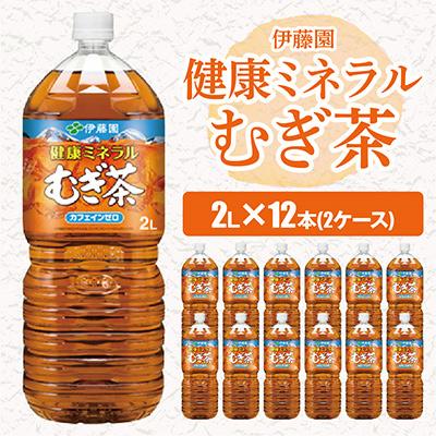 ふるさと納税 香取市 【毎月定期便】伊藤園の健康ミネラルむぎ茶 2L×12本 全6回
