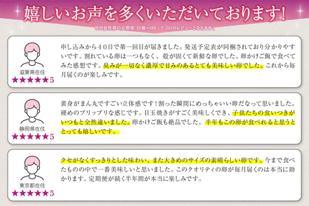 甲州放牧卵の定期便 30個×6回　F-501【卵 たまご 放牧卵 たまご 人気 卵 定期便 卵 たまご 新鮮 たまごかけご飯 卵 たまご すき焼き 鶏卵 国産 玉子 卵 たまご 贈答 卵 たまご】