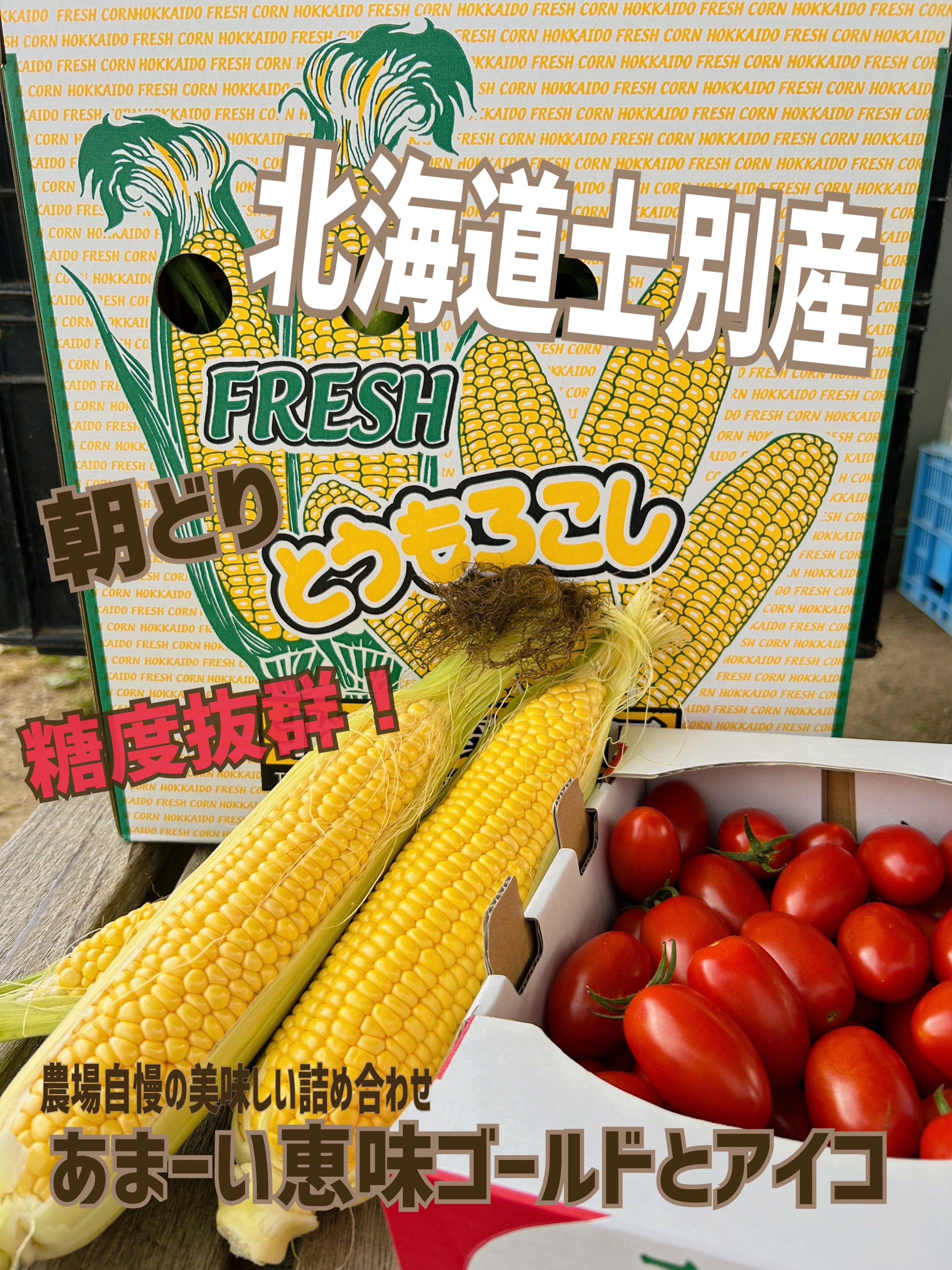 
            【B7020】＜数量限定＞北海道士別市産 朝採りスイートコーン (8本) ＆ミニトマト アイコ(約500g) 2種セット【2025年8月中旬以降順次発送】コーン トマト ミニトマト とうもろこし とまと 期間限定 旬 野菜 甘い 北海道産 【ネオアグリプロジェクト株式会社】
          