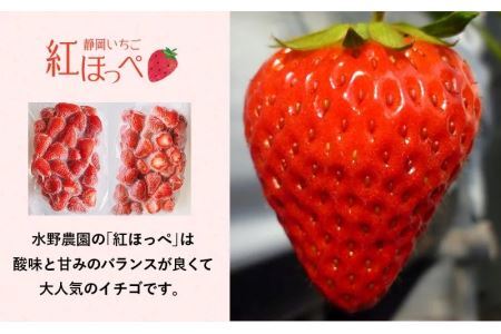 いちご掛川産 紅ほっぺ 冷凍イチゴ 1.1ｇ×2袋 2.2㎏ ( 掛川産 完熟冷凍いちご ・ ヘタなし )・水野農園  6377