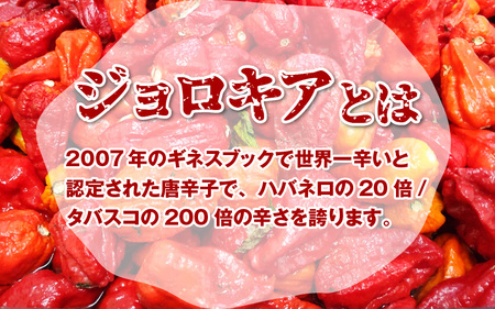 【激辛注意！】ジョロキング九味（ここみ）　2本セット