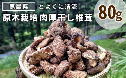 無農薬 原木栽培 肉厚 とよくに清流 ほししいたけ 80ｇ しいたけ 椎茸 シイタケ 原木椎茸 野菜 きのこ 無農薬栽培 干ししいたけ 乾燥しいたけ 干し椎茸 バーベキュー お試し 煮物 -244