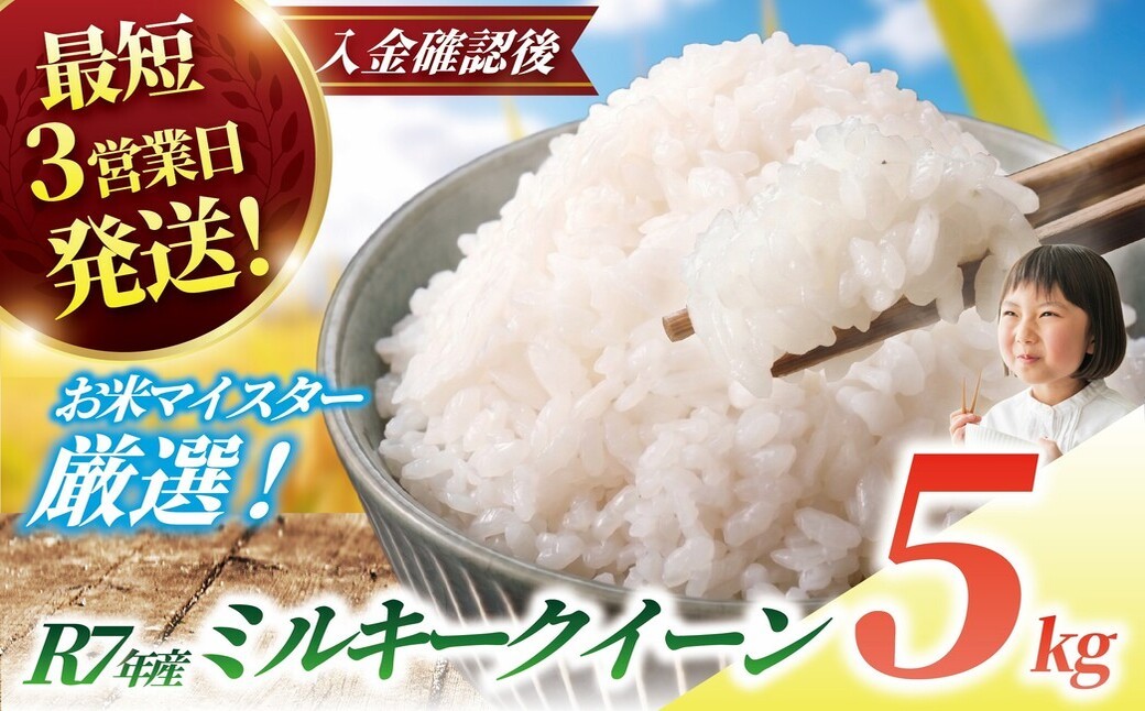
                  ミルキークイーン 5kg 令和7年産 【最短3営業日発送】 一等米 白米 ブランド米 令和7年産 米 お米 5kg 米5kg 5キロ【お米マイスター厳選】 千葉県産 みるきーくいーん 白飯 ごはん こめ おこめ しろごはん ※ okome kome おむすび おにぎり R7年産 2025年産 精米 千葉県 香取市 OYD009_R7
                