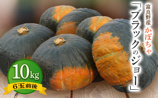 
            北海道 富良野市産 かぼちゃ「ブラックのジョー」10kg＜2025年10月上旬より発送＞【1301345】
          