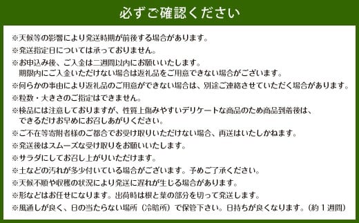 牟田農園の春の新玉ねぎ10kg （M～2L）