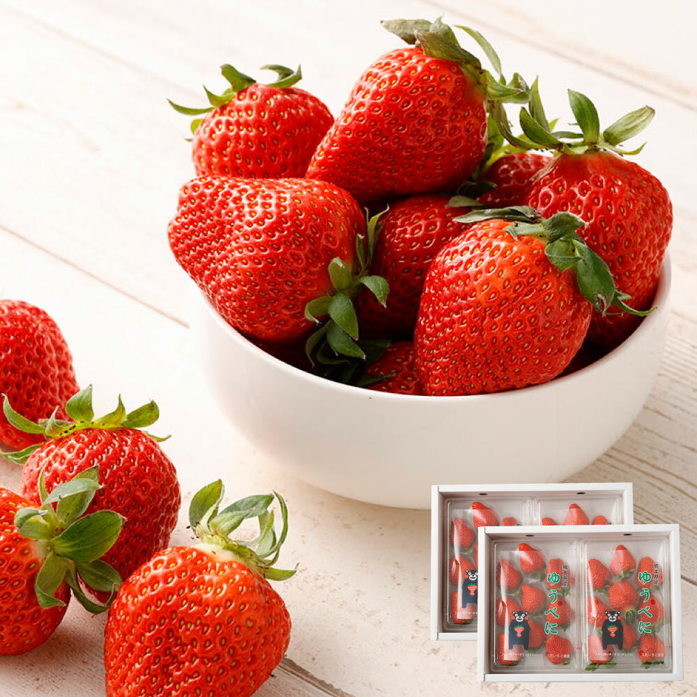 【ふるさと納税】熊本県産いちご ゆうべに 4パック 約1000g 約24～44個 果物 フルーツ 苺 イチゴ 旬 冷蔵 九州 熊本県 送料無料 【2026年1月上旬発送開始】