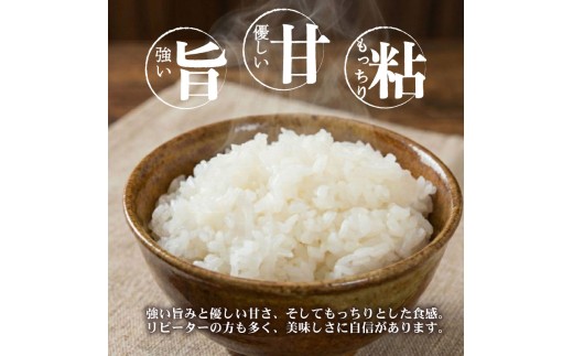 【令和8年産】コシヒカリ 定期便 5kg 3回 特別栽培米 コシヒカリ 新米 精米 白米 米 お米 こめ ご飯 おにぎり 弁当 新潟県産コシヒカリ 新発田産 新潟コシヒカリ 新潟県 新発田市 豊浦ニュ